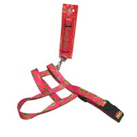 COLEIRA PEITORAL C/ GUIA POLIESTER 03 1,10M AGROPET