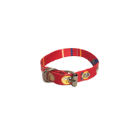 COLEIRA POLIESTER 00 25CM AGROPET