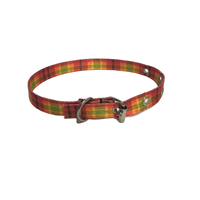 COLEIRA POLIESTER 02 40CM AGROPET