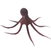 ENFEITE POLVO YS-15106LB MARROM MAXXI