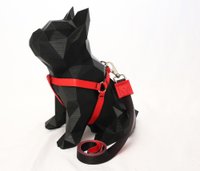 GUIA PEITORAL AMERICANO BULLS G GUAU GUAY