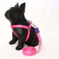 GUIA PEITORAL AMERICANO PINK G GUAU GUAY