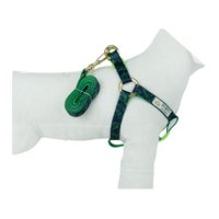 GUIA PEITORAL AMERICANO SPACE P BONITO PRA CACHORRO