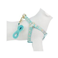 GUIA PEITORAL AMERICANO URSO AZUL G BONITO PRA CACHORRO