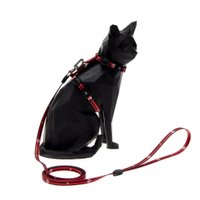 Guia e Peitoral Freefaro Flamengo para Gatos M