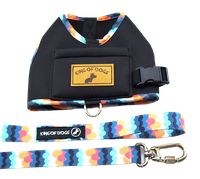 GUIA PEITORAL HUG CLOUD PRETO P KING OF DOGS