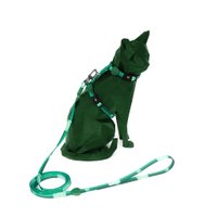 Guia e Peitoral Freefaro Palmeiras para Gatos M