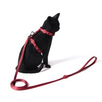 Guia e Peitoral Freefaro Pepper Vermelho para Gatos M