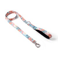 Guia Tradicional Cachorreiros Floral para Cães G