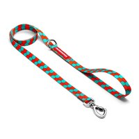 Guia Tradicional Cachorreiros Honey para Cães P