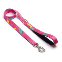 Guia Tradicional Cachorreiros Olivia para Cães G