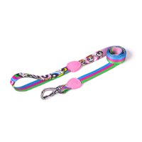 Guia Tradicional Freefaro Meninas Superpoderosas para Cães P