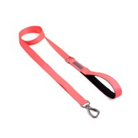 Guia Tradicional Cachorreiros Pink para Cães P