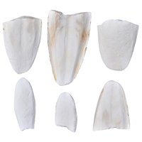 OSSO SIBA OSSIBA MALHA FINA