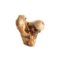 Petisco Bulls Pet Osso Meio Fêmur Bovino para Cães