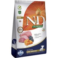 Ração N&D Pumpkin para Cães Filhotes Raças Pequenas Sabor Cordeiro e Blueberry 800g
