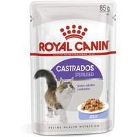 Sachê Royal Canin Jelly Sterilised Wet para Gatos Adultos Castrados 85g