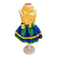 Vestido Pet Torcedora Brasil Dear Dog N5