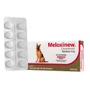 Anti-Inflamatório Vetnil Meloxinew para Cães 10 Comprimidos 4mg