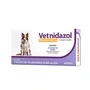 Antimicrobiano Vetnidazol para Cães e Gatos 300mg Caixa com 10un