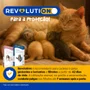 Antipulga Revolution 12% para Cães e Gatos de 20,1Kg a 40Kg