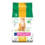 Areia Higiênica ProGato Vida Comfort para Gatos 4Kg