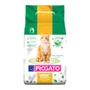 Areia Higiênica ProGato Vida Comfort Grãos Finos para Gatos 10Kg