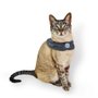 BANDANA CAPA CATMYPET MESCLA ESCURA