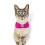 BANDANA CAPA CATMYPET ROSA PINK
