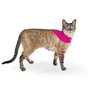 BANDANA CAPA CATMYPET ROSA PINK