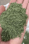 CATNIP SUPER PREMIUM GATO ZEN