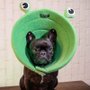 Colar Elizabetano B.Live Confort N4 Sapo Verde para Cães