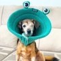 Colar Elizabetano B.Live Confort N4 Sapo Verde para Cães