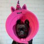 Colar Elizabetano B.Live Confort N7 Unicórnio Rosa para Cães