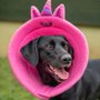 Colar Elizabetano B.Live Confort N7 Unicórnio Rosa para Cães