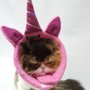 Colar Elizabetano B.Live Confort N7 Unicórnio Rosa para Cães