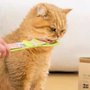 COLHER ESPREMEDORA SACHE GATO
