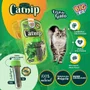ERVA DO GATO CATNIP 3GR BBB PET