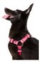 GUIA PEITORAL AMERICANO PINK G GUAU GUAY