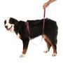 GUIA POP M 1,2M BORDO-CAQUI TOH