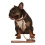 GUIA POP M 1,2M CAQUI-CAQUI TOH