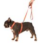 GUIA POP M 1,2M LARANJA-CAQUI TOH
