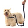 GUIA POP M 1,2M MARINHO-CAQUI TOH