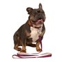 GUIA POP P 1,2M BORDO-CAQUI TOH