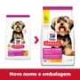 HILLS CANINE ADULTO PEQUENOS E MINI 2,04KG