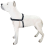 PEITORAL TREINAMENTO GG PRETO K-9 SPIRIT