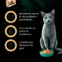 PETISCO SHEBA CREMOSO ATUM E CAMARAO 48G
