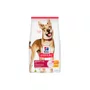 Ração Hill's Science Diet para Cães Sabor Frango 1Kg
