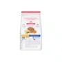 Ração Hill's Science Diet para Cães Sabor Frango 1Kg