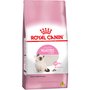 Ração Royal Canin Kitten para Gatos Filhotes 1,5Kg